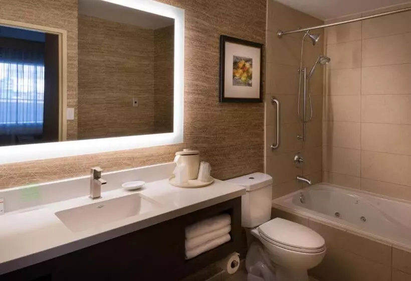 اتاق استاندارد با 2 تخت دوبل, Holiday Inn Express & Suites Pasadena   Los Angeles, An Ihg