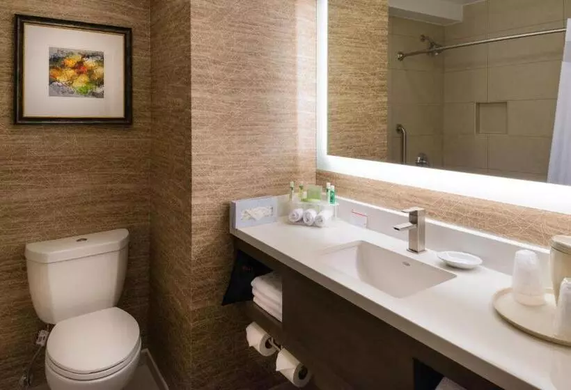سوئیت با تخت بزرگ, Holiday Inn Express & Suites Pasadena   Los Angeles, An Ihg