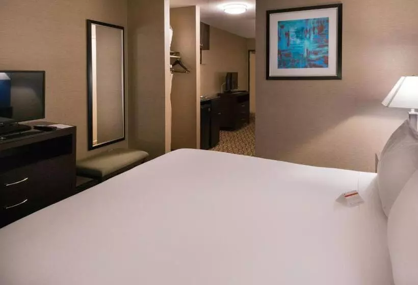 سوئیت با تخت بزرگ, Holiday Inn Express & Suites Pasadena   Los Angeles, An Ihg