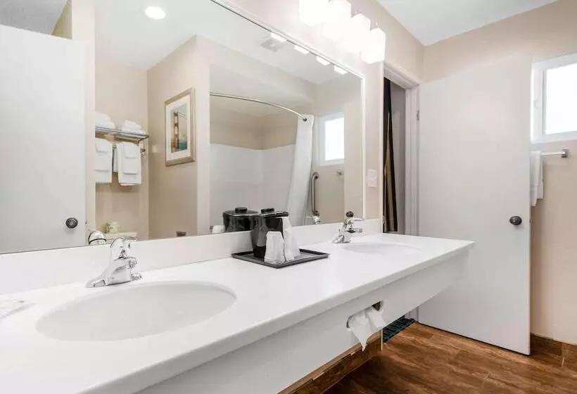اتاق استاندارد, Bayside Inn & Suites Eureka