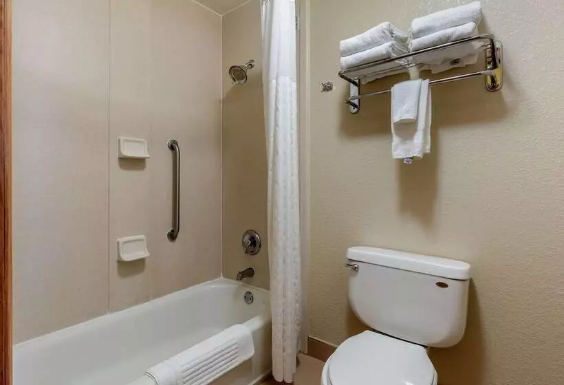 身障者適用スイートルーム, Comfort Inn & Suites Kenosha Pleasant Prairie