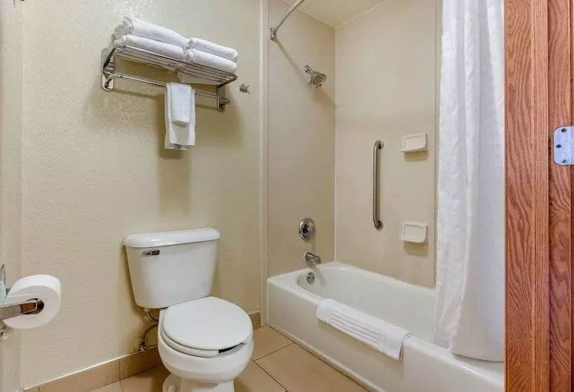 身障者適用スイートルーム, Comfort Inn & Suites Kenosha Pleasant Prairie