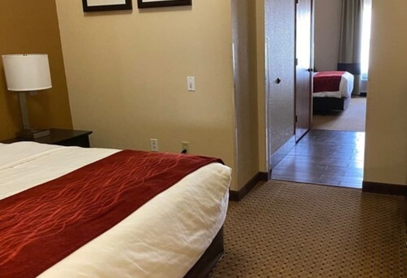 جناح لذوى الاحتياجات الخاصة, Comfort Inn & Suites Kenosha Pleasant Prairie