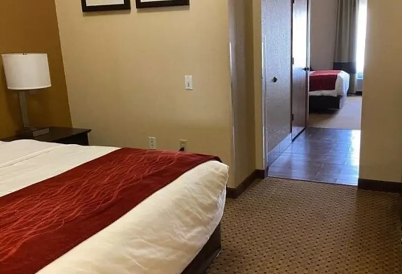 身障者適用スイートルーム, Comfort Inn & Suites Kenosha Pleasant Prairie