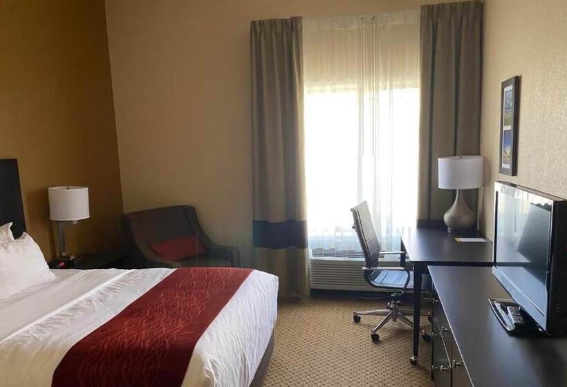 جناح لذوى الاحتياجات الخاصة, Comfort Inn & Suites Kenosha Pleasant Prairie