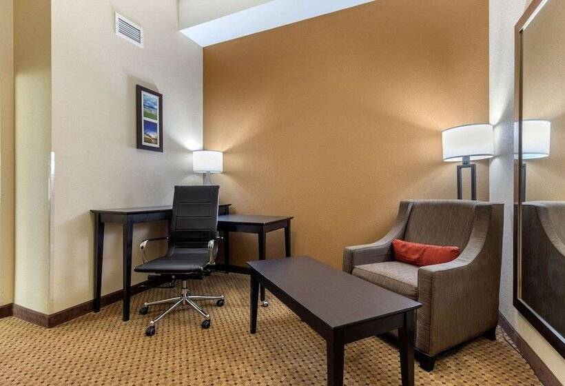 جناح لذوى الاحتياجات الخاصة, Comfort Inn & Suites Kenosha Pleasant Prairie
