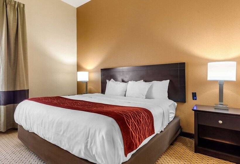 جناح لذوى الاحتياجات الخاصة, Comfort Inn & Suites Kenosha Pleasant Prairie
