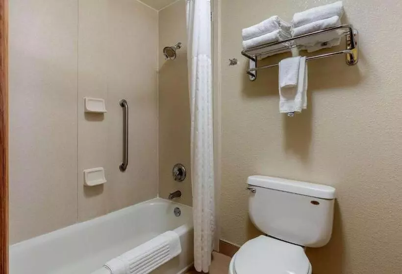 キングサイズベッドのスイートルーム, Comfort Inn & Suites Kenosha Pleasant Prairie