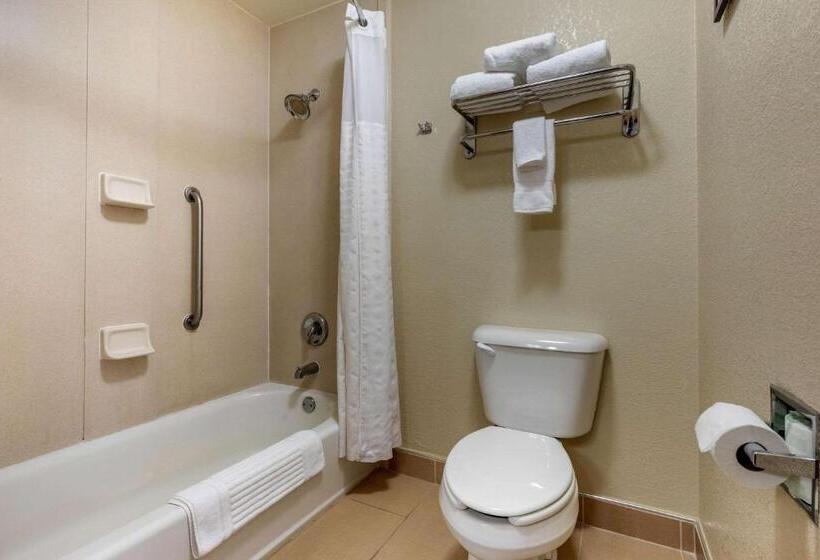 جناح سرير كينج, Comfort Inn & Suites Kenosha Pleasant Prairie