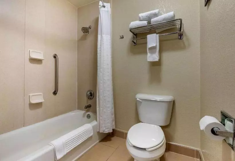 キングサイズベッドのスイートルーム, Comfort Inn & Suites Kenosha Pleasant Prairie