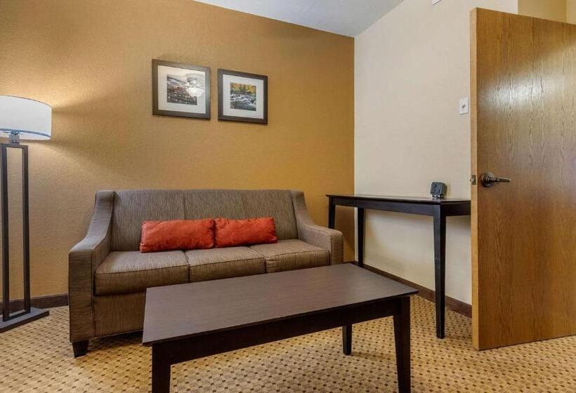 Люкс Кровать Кинг, Comfort Inn & Suites Kenosha Pleasant Prairie