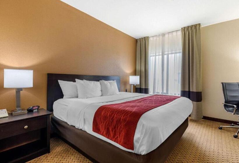 Люкс Кровать Кинг, Comfort Inn & Suites Kenosha Pleasant Prairie
