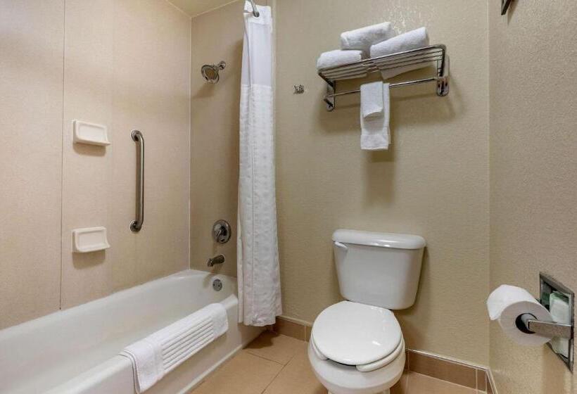 Люкс, Comfort Inn & Suites Kenosha Pleasant Prairie