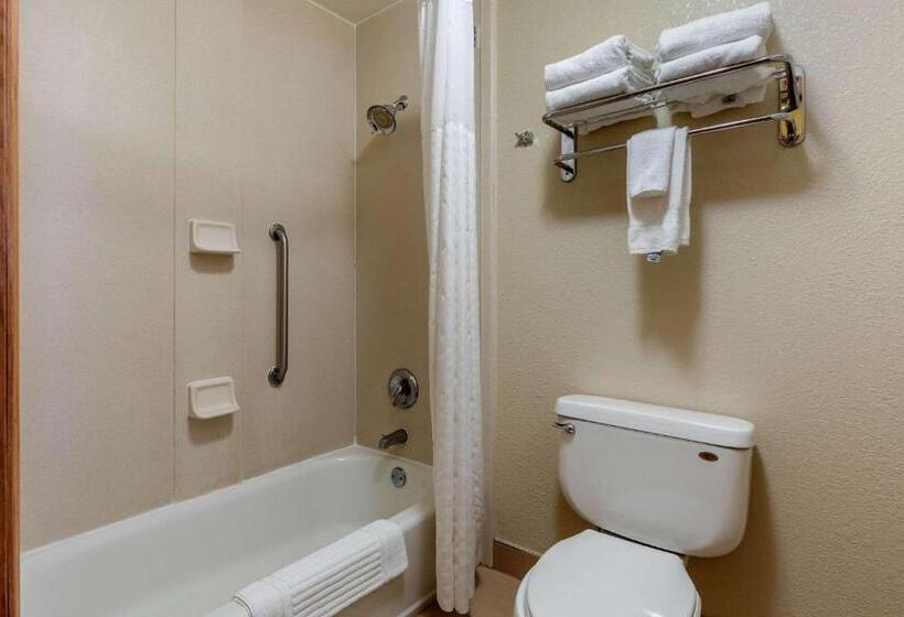 جناح لذوى الاحتياجات الخاصة, Comfort Inn & Suites Kenosha Pleasant Prairie