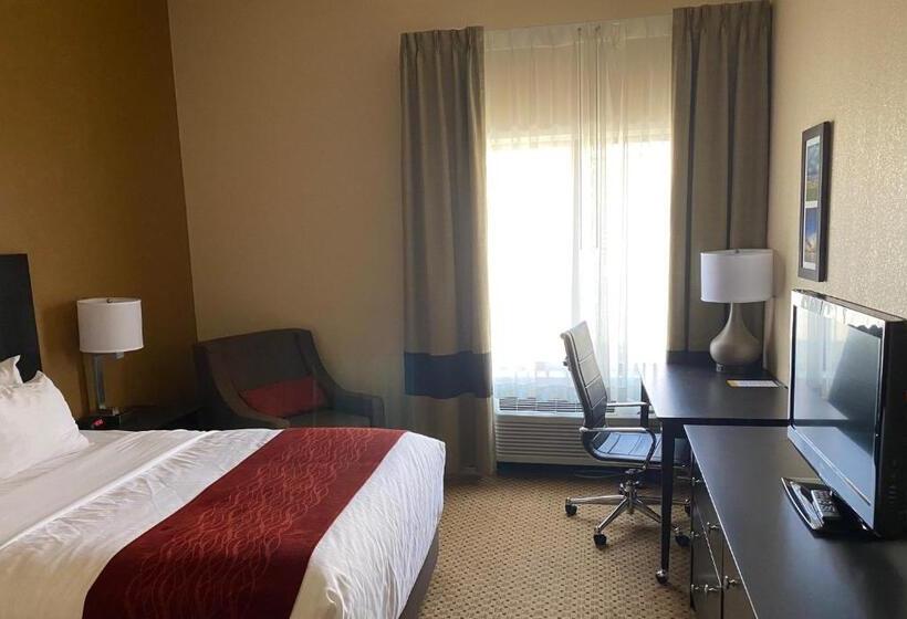 جناح لذوى الاحتياجات الخاصة, Comfort Inn & Suites Kenosha Pleasant Prairie