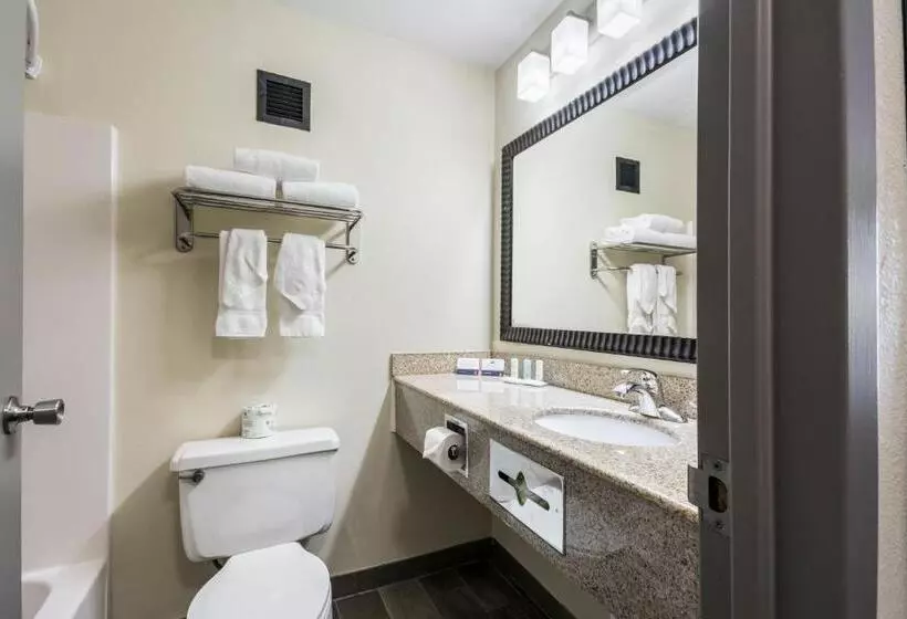 اتاق استاندارد با تخت بزرگ, Bricktown Hotel & Extended Stay