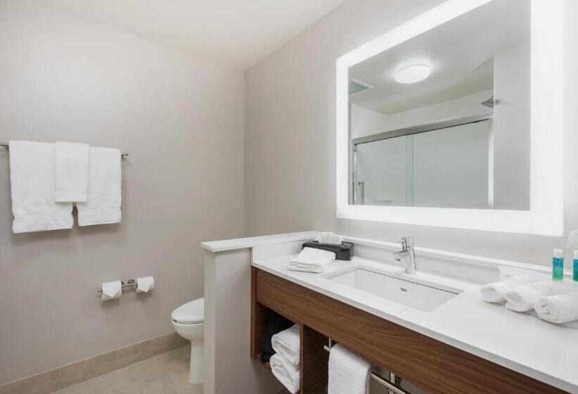 Люкс Адаптированный для Инвалидов, Holiday Inn Express & Suites West Plains Southwest By Ihg