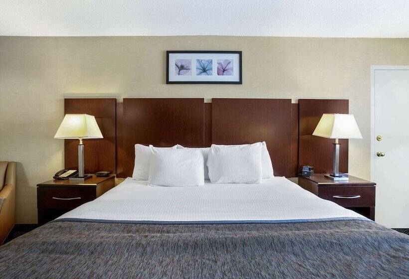 豪华房间, Hampton Inn Manchester Downtown