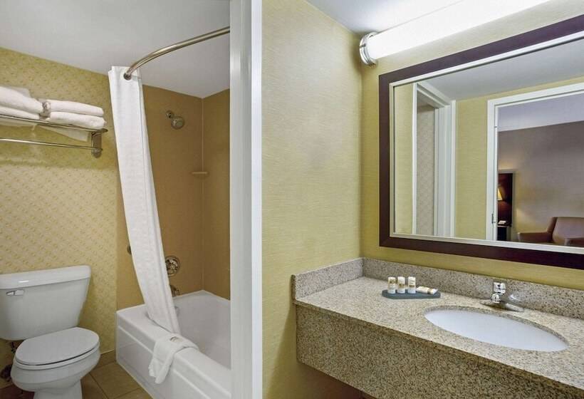 سوئیت با تخت بزرگ, Hampton Inn Manchester Downtown