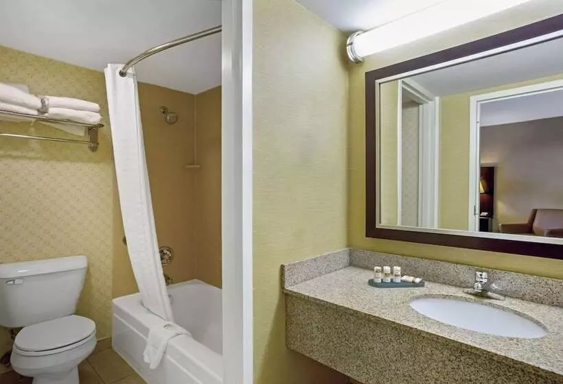 سوئیت با تخت بزرگ, Hampton Inn Manchester Downtown