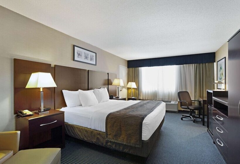 سوئیت با تخت بزرگ, Hampton Inn Manchester Downtown