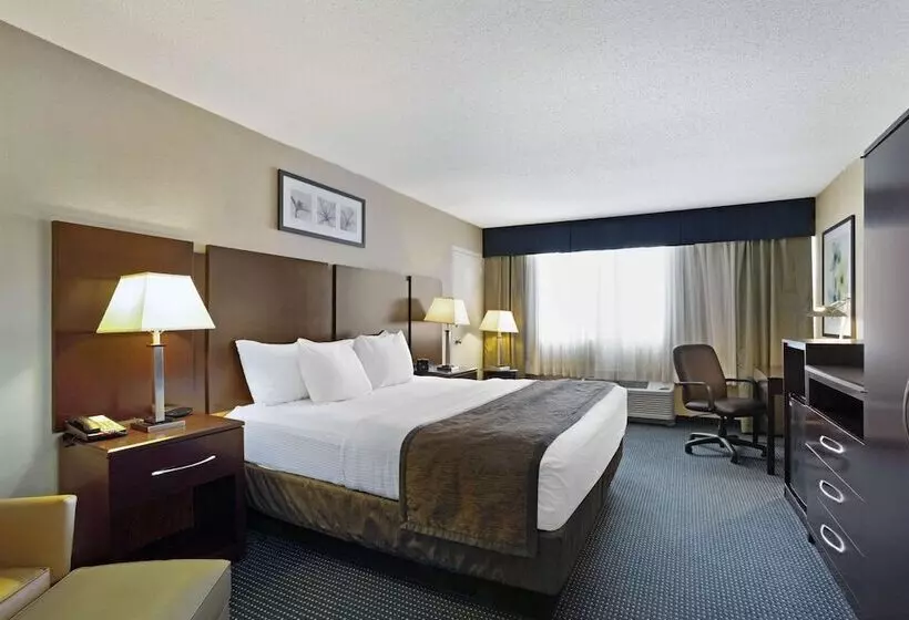 سوئیت با تخت بزرگ, Hampton Inn Manchester Downtown