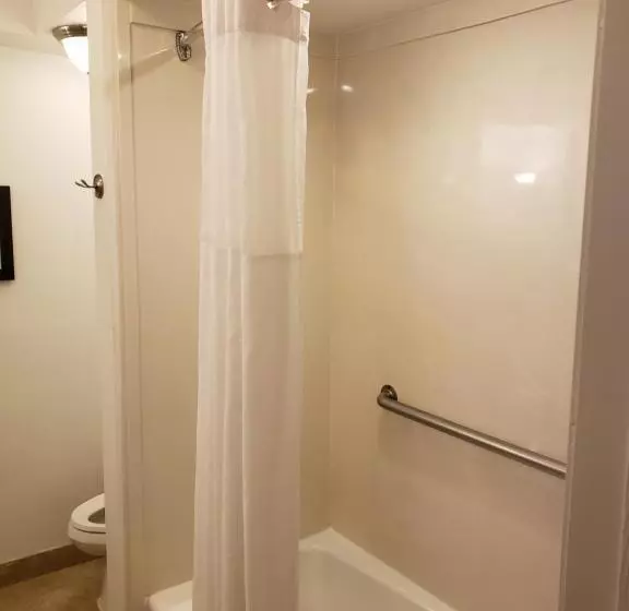 キングサイズベッドのスタンダードルーム, Country Inn & Suites By Radisson, Metairie New Orleans , La