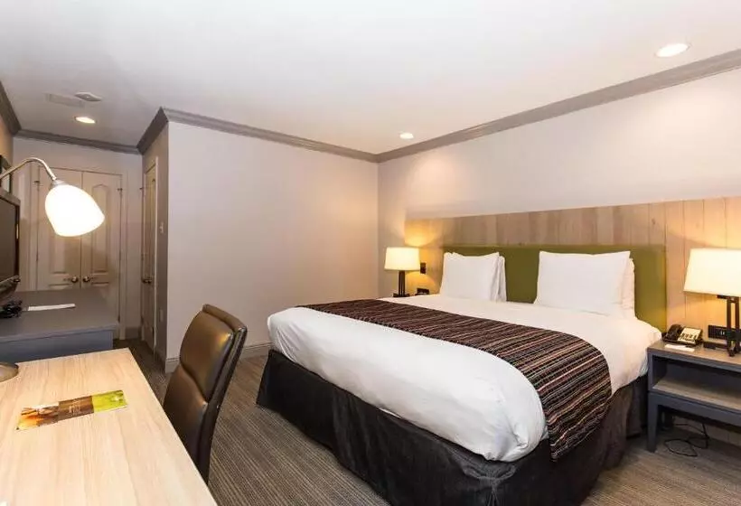 キングサイズベッドのスタンダードルーム, Country Inn & Suites By Radisson, Metairie New Orleans , La