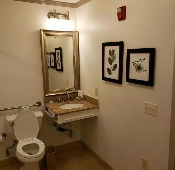 キングサイズベッドのスタンダードルーム, Country Inn & Suites By Radisson, Metairie New Orleans , La