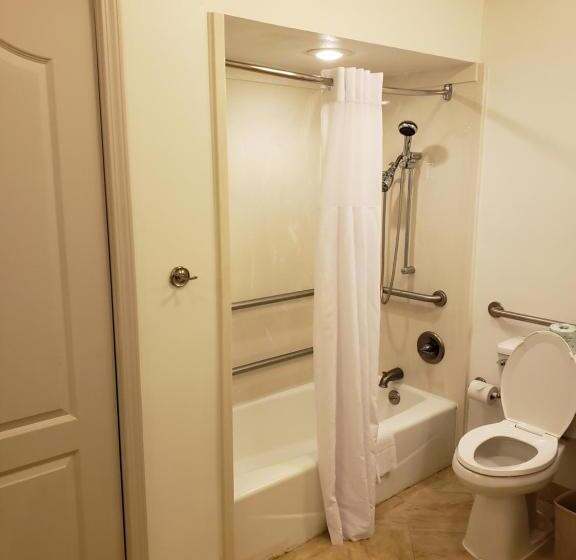 اتاق استاندارد با تخت بزرگ, Country Inn & Suites By Radisson, Metairie New Orleans , La