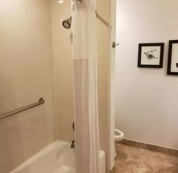 プレミアムルーム, Country Inn & Suites By Radisson, Metairie New Orleans , La