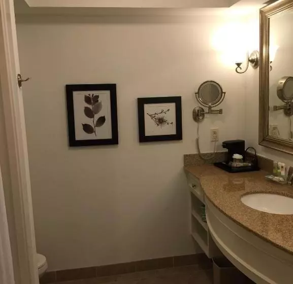 キングサイドベッドのスタンダードワンルーム, Country Inn & Suites By Radisson, Metairie New Orleans , La