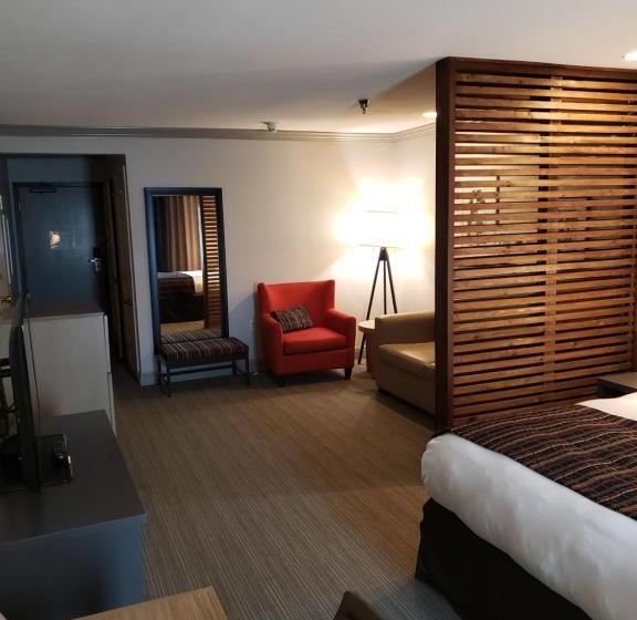 استودیو استاندارد با تخت کینگ, Country Inn & Suites By Radisson, Metairie New Orleans , La