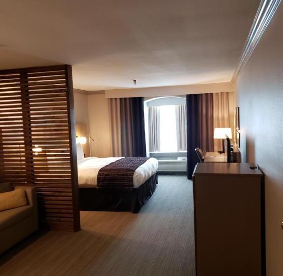 استودیو استاندارد با تخت کینگ, Country Inn & Suites By Radisson, Metairie New Orleans , La