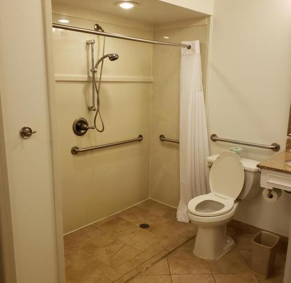 اتاق استاندارد با تخت بزرگ برای معلولان, Country Inn & Suites By Radisson, Metairie New Orleans , La