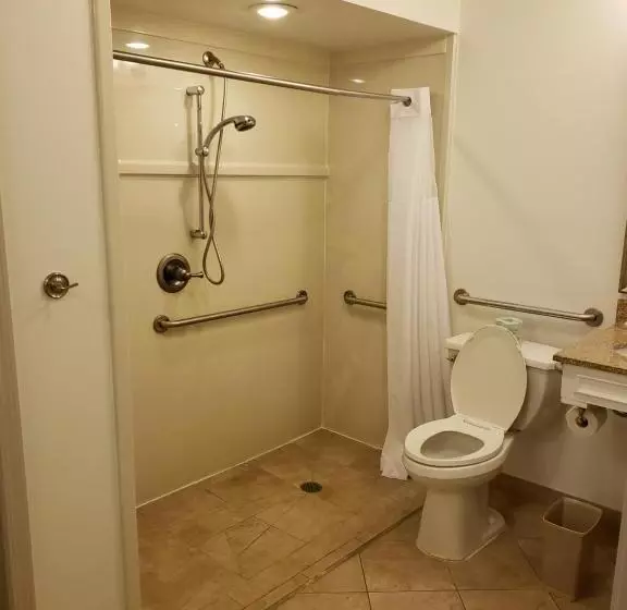 身障者適用キングサイズベッドルーム, Country Inn & Suites By Radisson, Metairie New Orleans , La