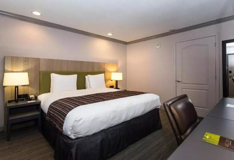身障者適用キングサイズベッドルーム, Country Inn & Suites By Radisson, Metairie New Orleans , La