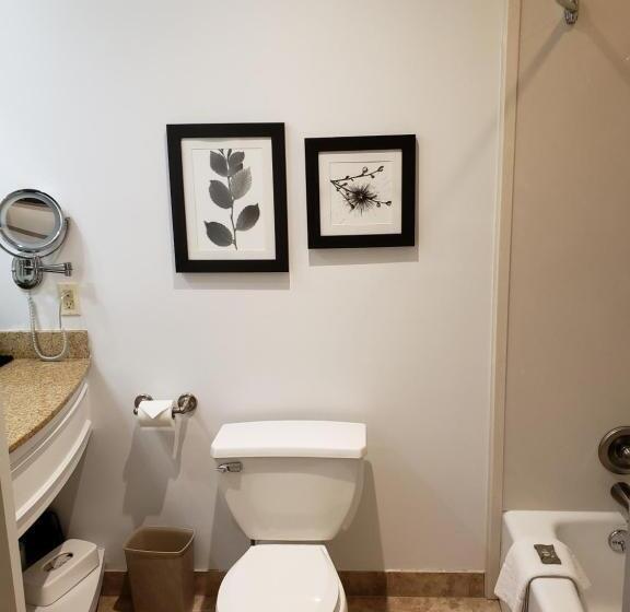 اتاق پرمیوم, Country Inn & Suites By Radisson, Metairie New Orleans , La