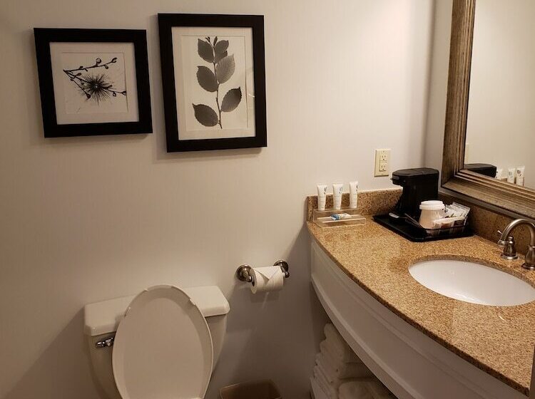 اتاق پرمیوم, Country Inn & Suites By Radisson, Metairie New Orleans , La