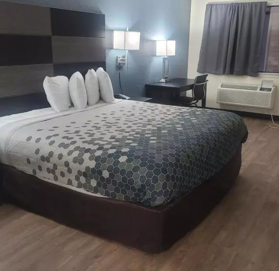 Standard-huone King-vuode, Econo Lodge Inn & Suites Downtown San Antonio Riverwalk Area