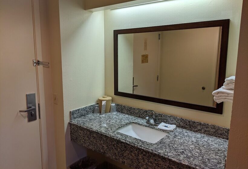 带2个双人床的标准工作室, Plano Inn & Suites