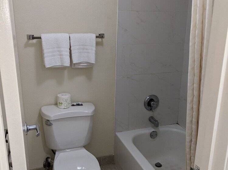 带2个双人床的标准工作室, Plano Inn & Suites