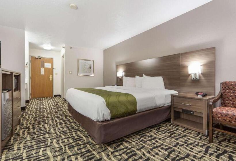 带大床的标准间, Quality Inn & Suites West Omaha   Ne Linclon