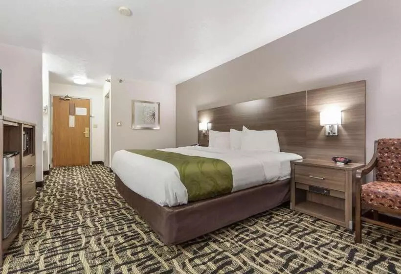 اتاق استاندارد با تخت بزرگ, Quality Inn & Suites West Omaha   Ne Linclon