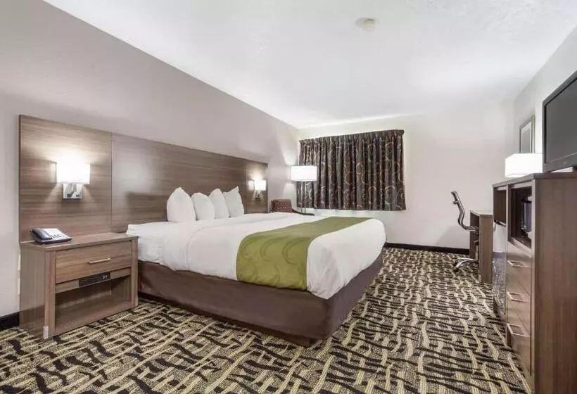 اتاق استاندارد با تخت بزرگ, Quality Inn & Suites West Omaha   Ne Linclon