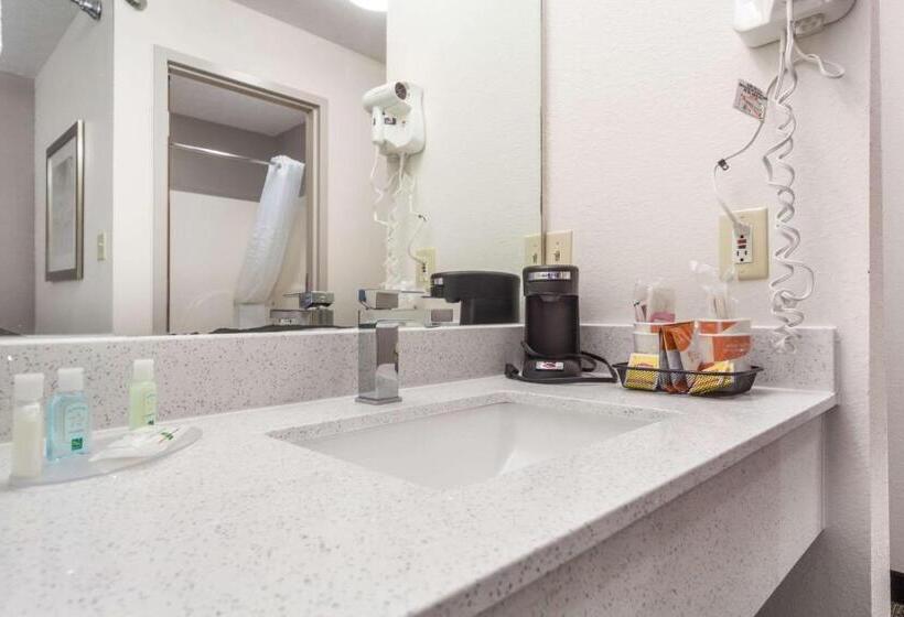 Номер Стандарт, Quality Inn & Suites West Omaha   Ne Linclon