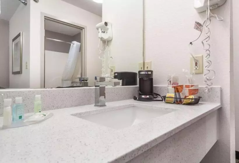 اتاق استاندارد, Quality Inn & Suites West Omaha   Ne Linclon