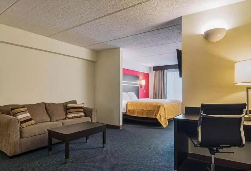 سوئیت با تخت بزرگ, Quality Suites Atlanta Airport East