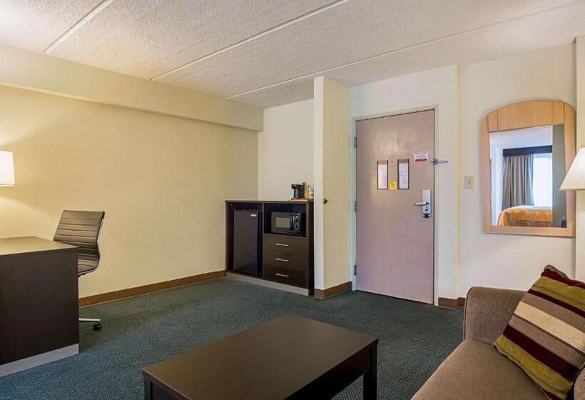 스위트 킹사이즈 침대, Quality Suites Atlanta Airport East