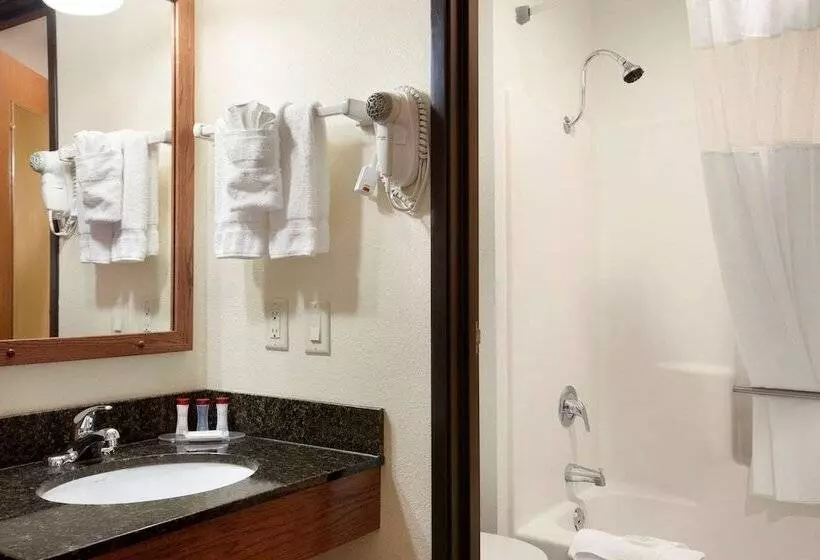 اتاق استاندارد برای معلولان, Ramada By Wyndham Wisconsin Dells I 90